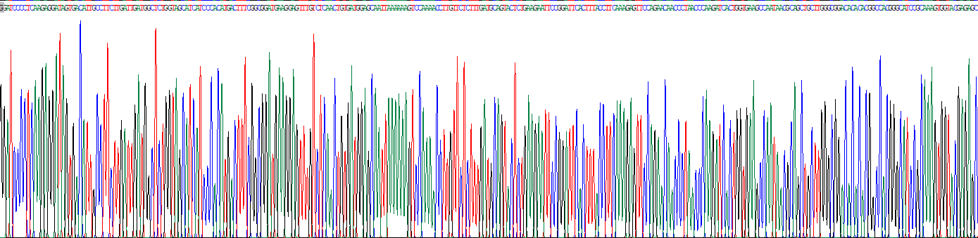 整合素αM(CD11b)真核蛋白