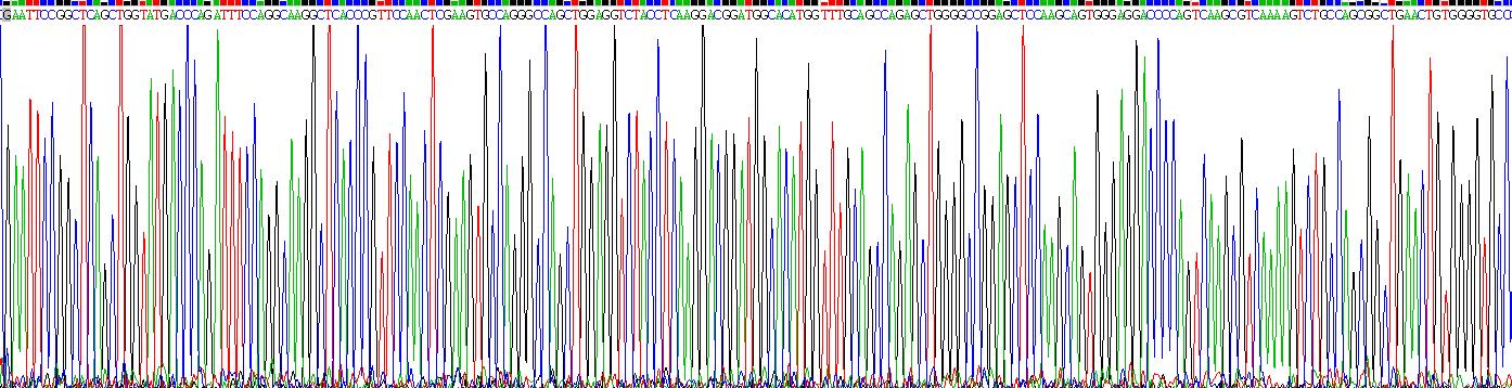 CD5分子(CD5)真核蛋白