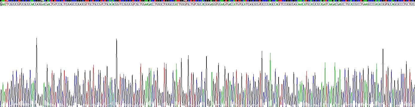 生长分化因子15(GDF15)真核蛋白