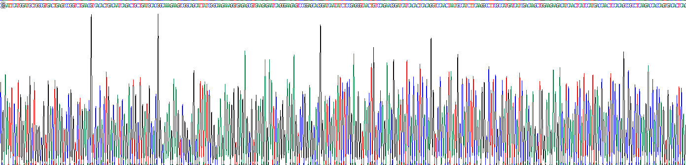 Poly/rC结合因子1(PCBP1)真核蛋白