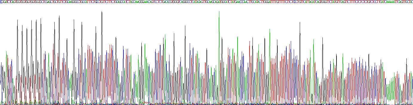 磷酸二酯酶5A(PDE5A)真核蛋白