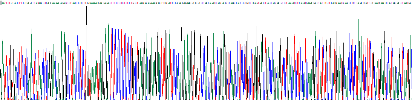 干擾素α5(IFNa5)真核蛋白