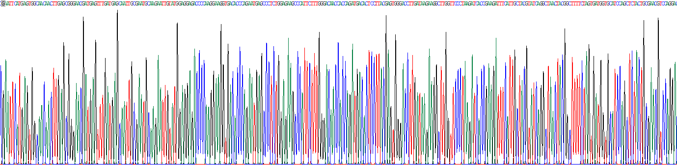 HIV1 Tat特异性因子1(HTATSF1)真核蛋白