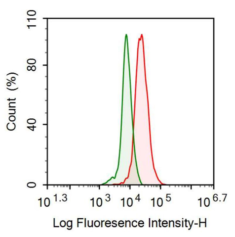 抗載脂蛋白C1(APOC1)多克隆抗體