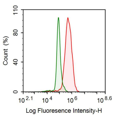 抗Sp100核抗原(Sp100)多克隆抗體