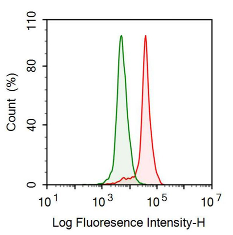 抗神經(jīng)顆粒素(NRGN)多克隆抗體