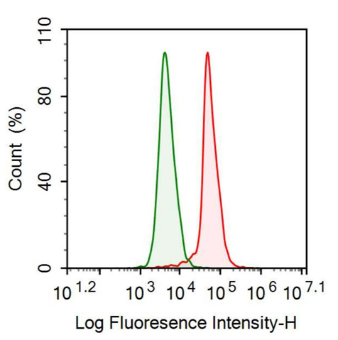 抗神經(jīng)顆粒素(NRGN)單克隆抗體