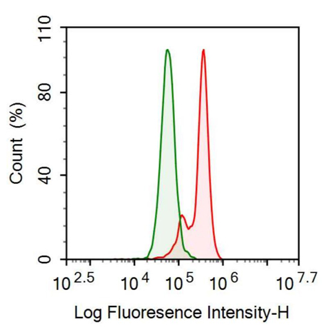 抗氨基端前心钠肽(NT-ProANP)多克隆抗体