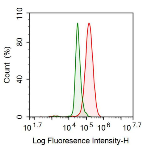 抗腦鈉素(BNP)多克隆抗體