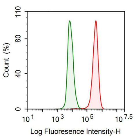 抗基质金属蛋白酶9(MMP9)单克隆抗体