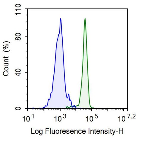 抗归巢关联细胞黏附分子(HCAM)单克隆抗体