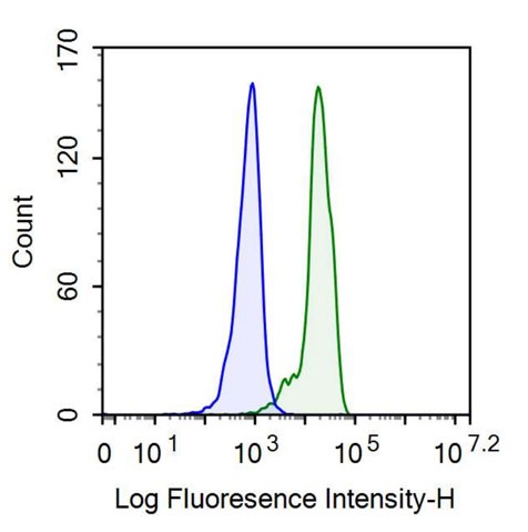 抗归巢关联细胞黏附分子(HCAM)单克隆抗体