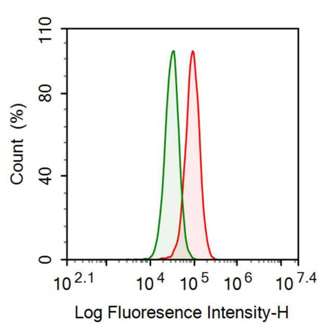 抗谷胱甘肽S转移酶α3(GSTa3)多克隆抗体