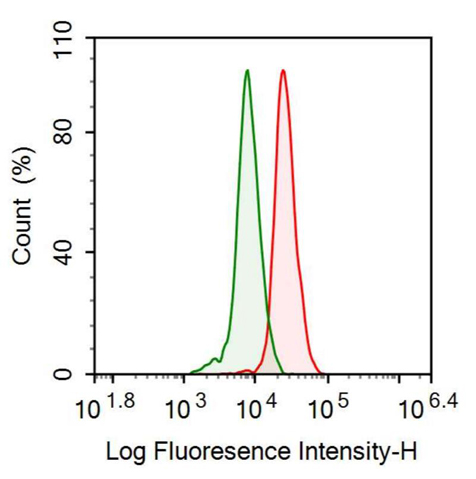 抗乙醇脱氢酶1(ADH1)多克隆抗体