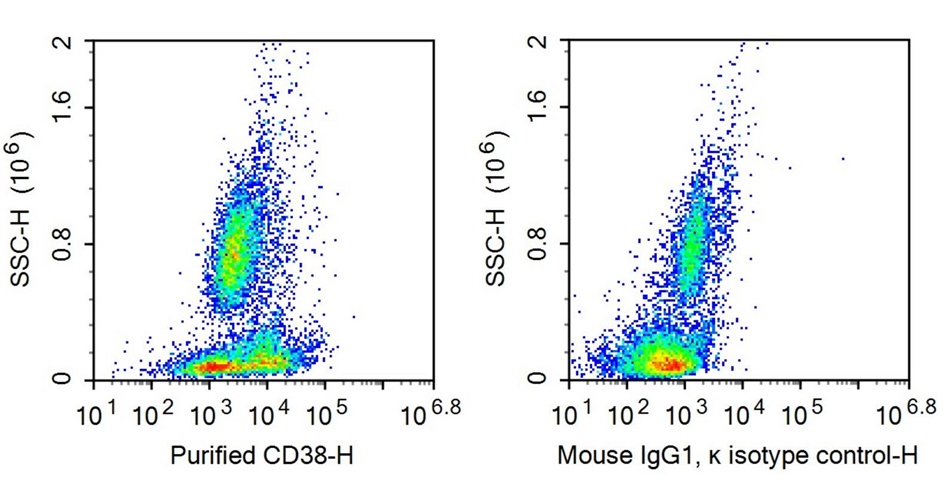 抗CD38分子(CD38)單克隆抗體