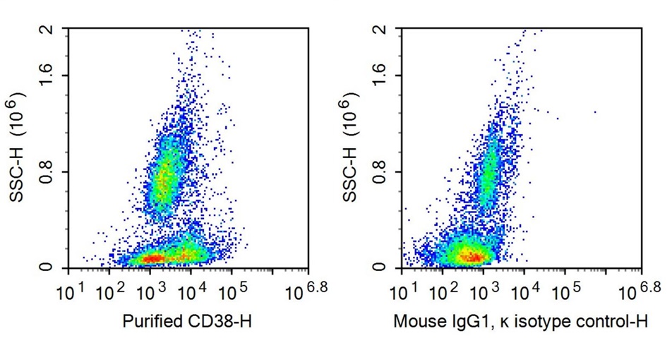 抗CD38分子(CD38)單克隆抗體