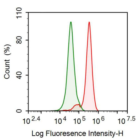 抗骨粘连蛋白(ON)多克隆抗体