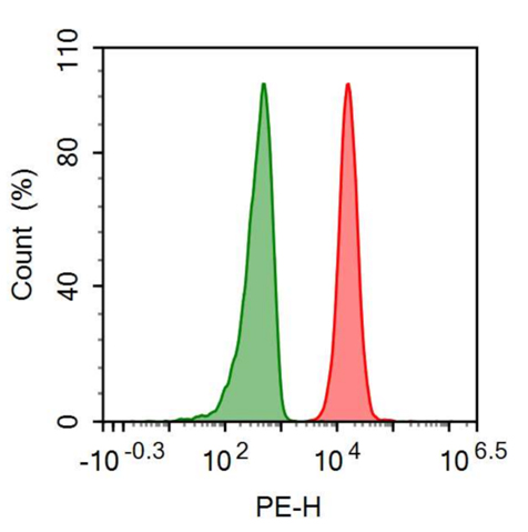抗肿瘤坏死因子受体超家族成员7(TNFRSF7)多克隆抗体(藻红素标记)