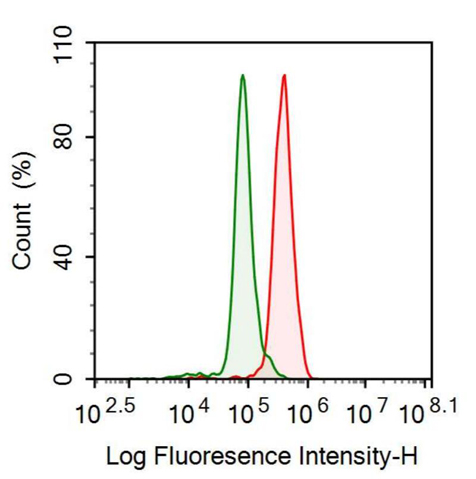 抗ATP依賴性DNA連接酶Ⅰ(LIG1)多克隆抗體