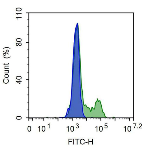 抗IgG-Fc片段低親和力受體Ⅲa(FcgR3A)單克隆抗體(異硫氰酸熒光素標(biāo)記)
