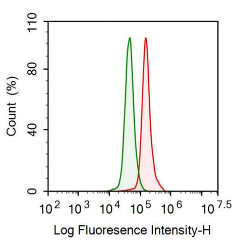 抗基膜聚糖(LUM)多克隆抗体