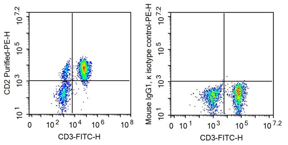 抗CD2分子(CD2)单克隆抗体