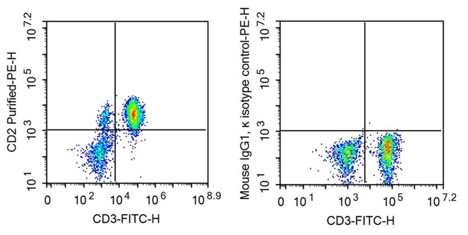 抗CD2分子(CD2)單克隆抗體