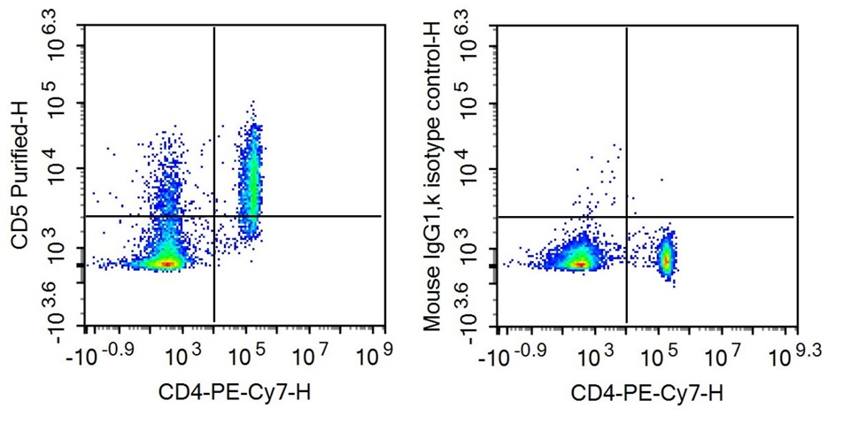 抗CD5分子(CD5)單克隆抗體