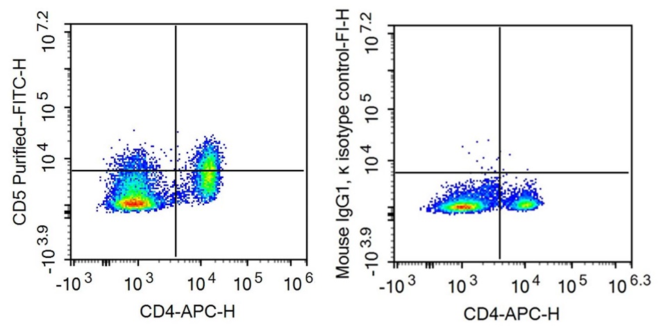 抗CD5分子(CD5)單克隆抗體