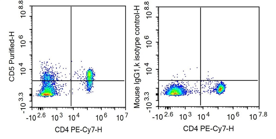 抗CD5分子(CD5)單克隆抗體