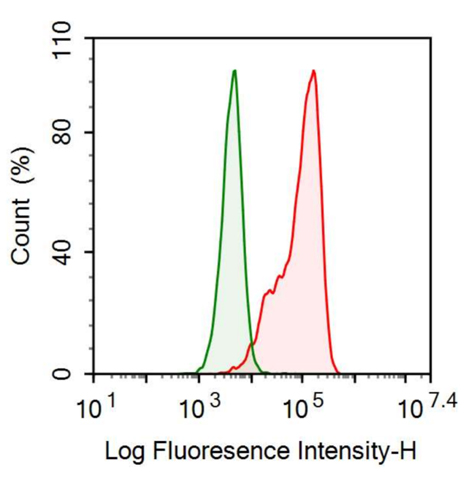 抗多配體蛋白聚糖1(SDC1)多克隆抗體