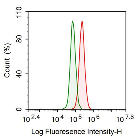 抗18kDa陽離子抗菌肽(CAMP)單克隆抗體