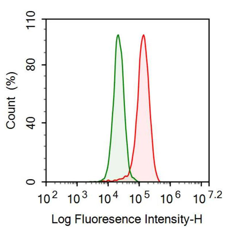 抗Zuotin相關(guān)因子1(ZRF1)多克隆抗體