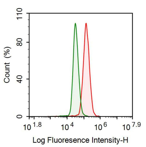 抗脂肪酶成熟因子2(LMF2)多克隆抗体