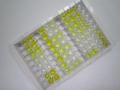 心肌肌钙蛋白I(cTnI)检测试剂盒(酶联免疫吸附试验法,高敏型)