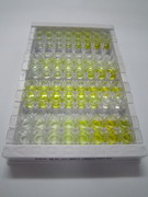 白介素1β(IL1b)检测试剂盒(酶联免疫吸附试验法,高敏型)