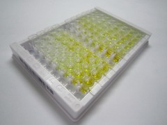 Ⅰ型胶原(COL1)检测试剂盒(酶联免疫吸附试验法,高敏型)