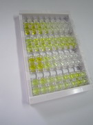 Ⅲ型前胶原氨基端原肽(PIIINP)检测试剂盒(酶联免疫吸附试验法,高敏型)