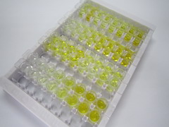 颗粒酶A(GZMA)检测试剂盒(酶联免疫吸附试验法,高敏型)