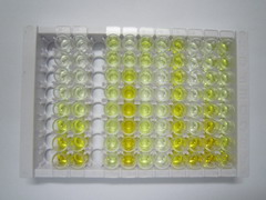 高分子量激肽原(HMWK)检测试剂盒(酶联免疫吸附试验法,高敏型)