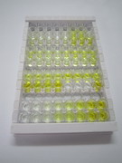 R-脊椎蛋白1(RSPO1)检测试剂盒(酶联免疫吸附试验法,高敏型)