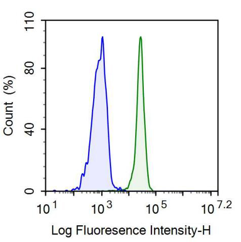 歸巢關(guān)聯(lián)細(xì)胞黏附分子(HCAM)單克隆抗體