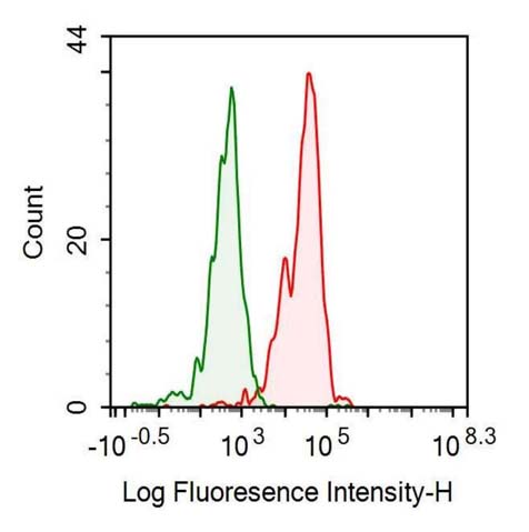 白介素1β(IL1b)重组抗体