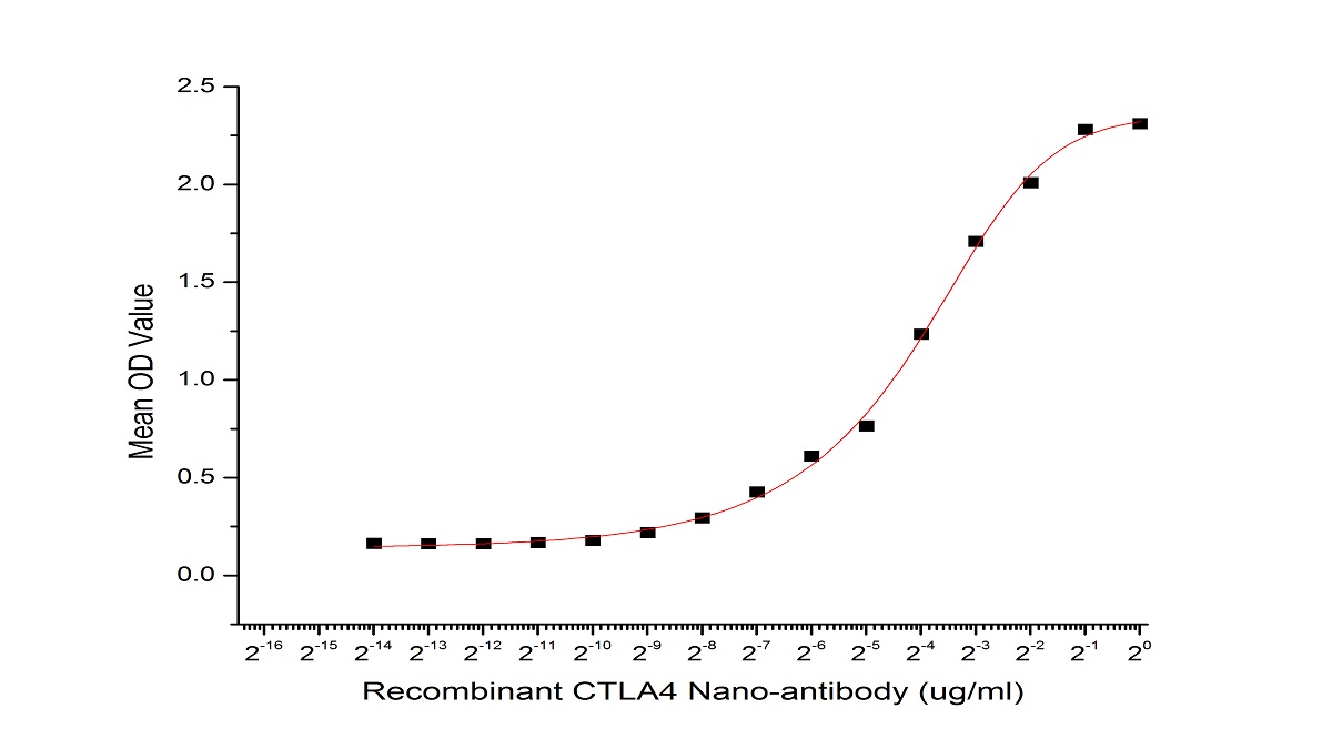 细胞毒性T-淋巴细胞关联抗原4(CTLA4)重组抗体