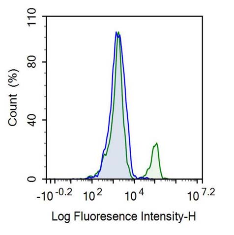 CD19分子(CD19)重组抗体