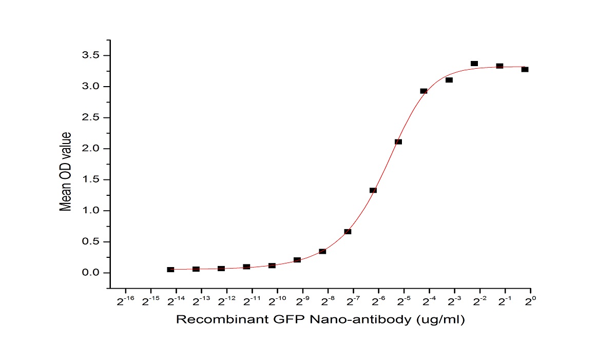 綠色熒光蛋白(GFP)重組抗體