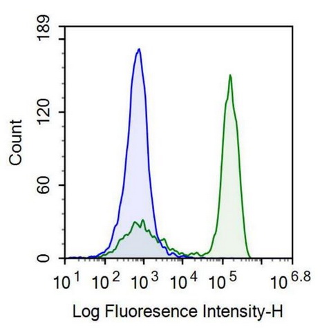 T-细胞表面糖蛋白CD3ε(CD3e)重组抗体