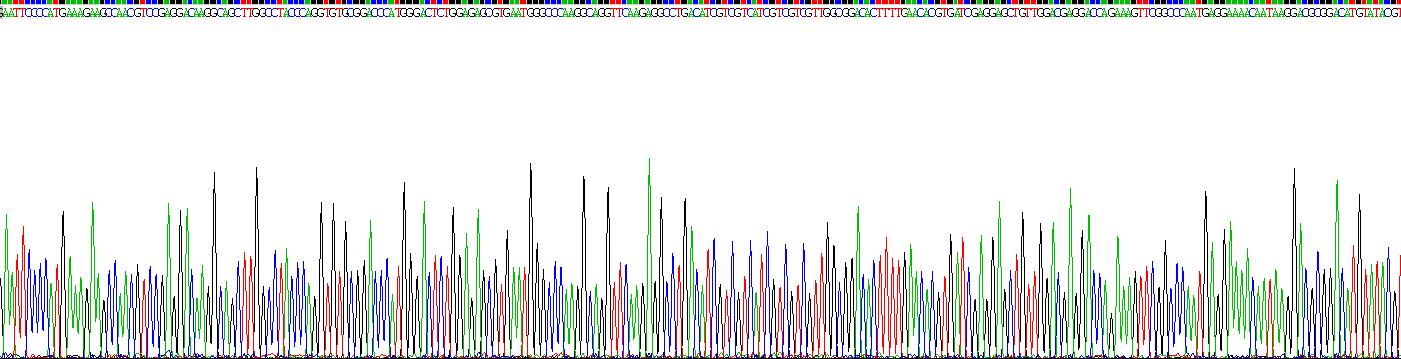 脑源性神经营养因子(BDNF)重组蛋白