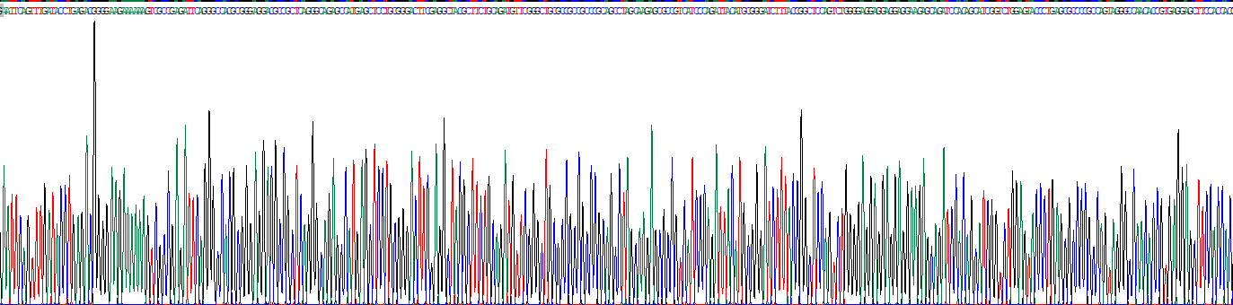 骨成型蛋白4(BMP4)重组蛋白