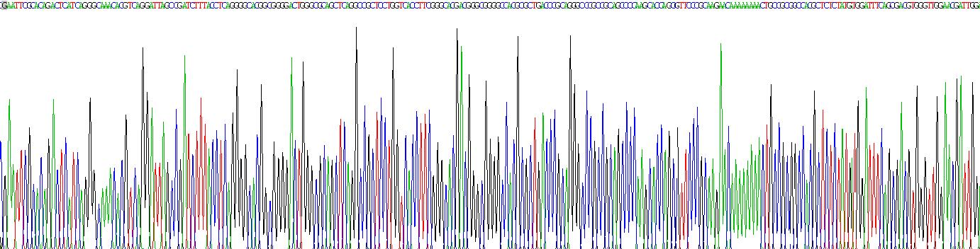 骨成型蛋白4(BMP4)重組蛋白
